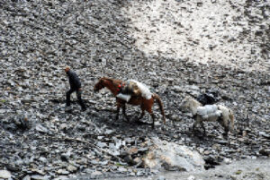 Digital collage of a man on a mountain pass in the Caucasus with two packhorses, based on a photo by Heiner Buhr