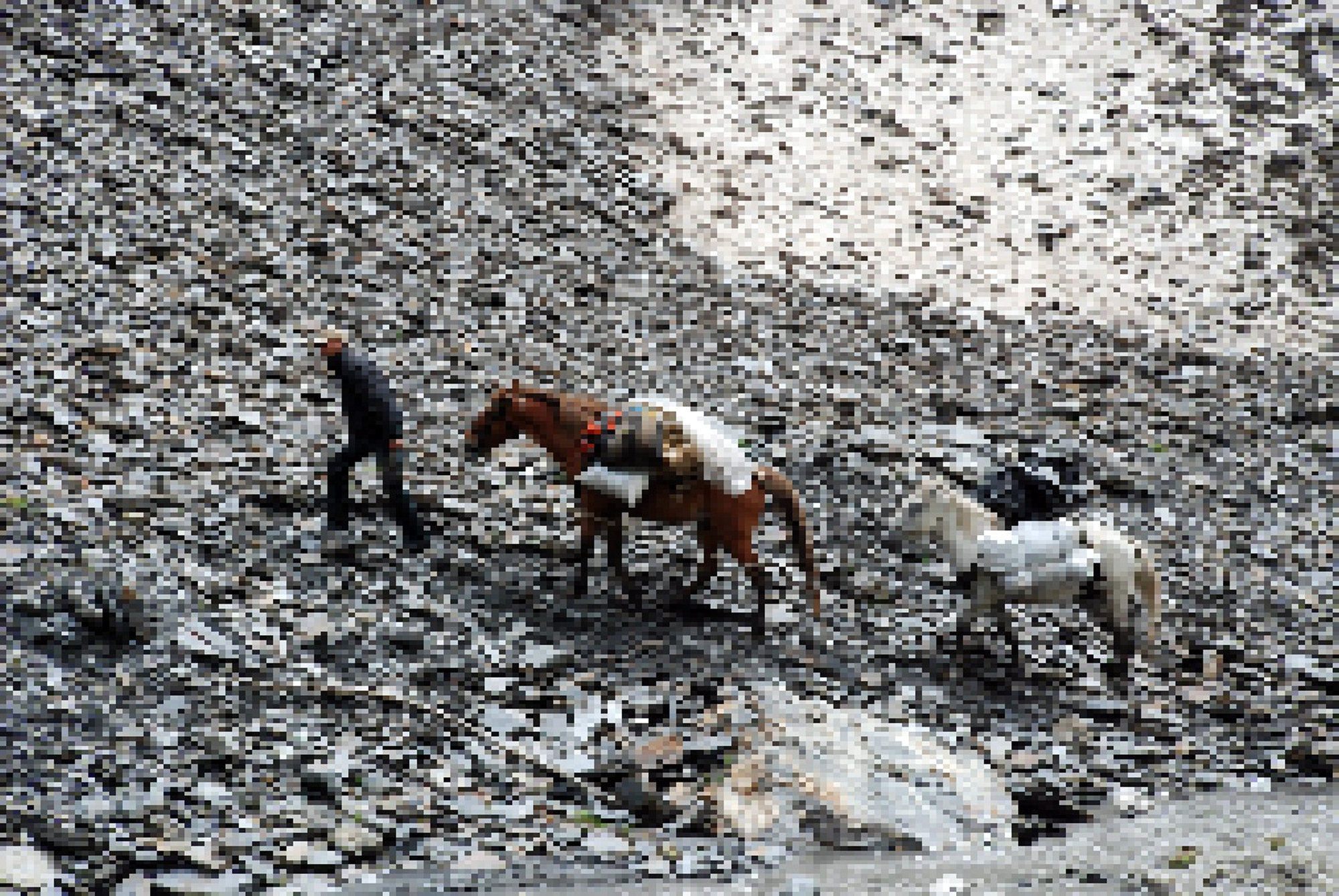 Digital collage of a man on a mountain pass in the Caucasus with two packhorses, based on a photo by Heiner Buhr