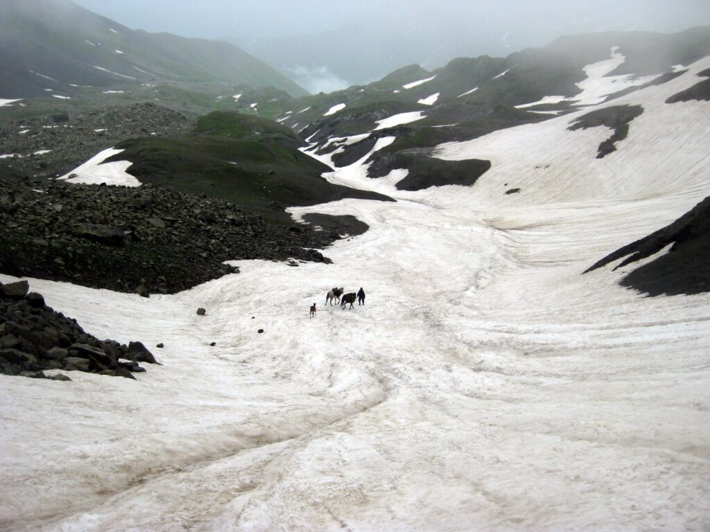Wide snow-covered mountain landscape with small group of people and horses