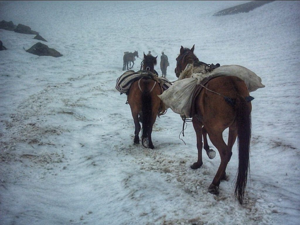 Packhorses carrying goods through snow in a remote Caucasus mountain landscape
